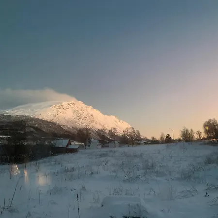 Lyngen Biarnes- Nordreisa * Hamnnes