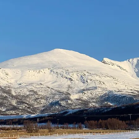 Lyngen Biarnes- Nordreisa * Hamnnes