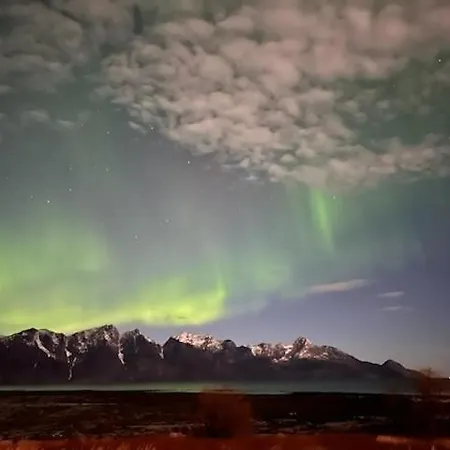 Lyngen Biarnes- Nordreisa * Hamnnes
