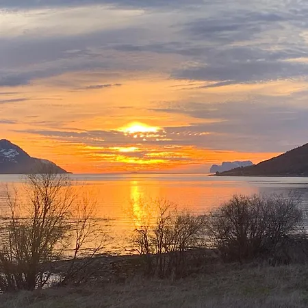 Lyngen Biarnes- Nordreisa *