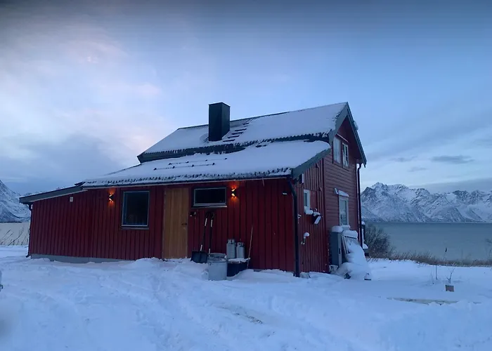 Lyngen Biarnes- Nordreisa