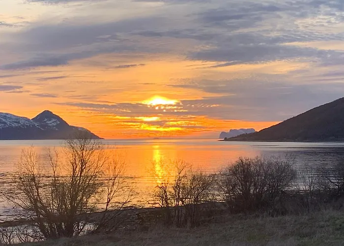 Lyngen Biarnes- Nordreisa *