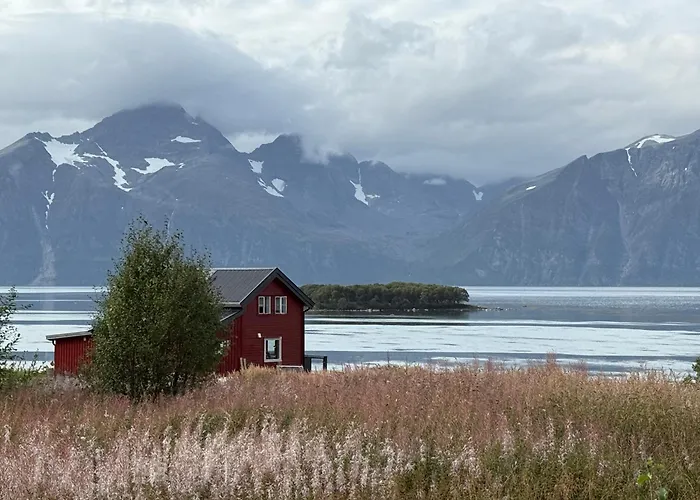Lyngen Biarnes- Nordreisa Дом отдыха Rotsund